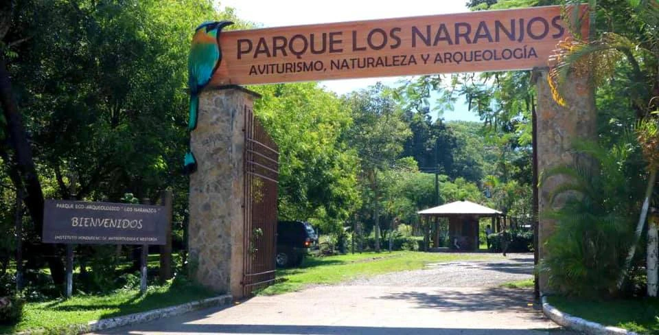 Parque Arqueologico